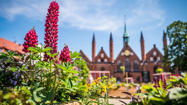 SOMMERGARTEN L&Uuml;BECK, &copy; LTM