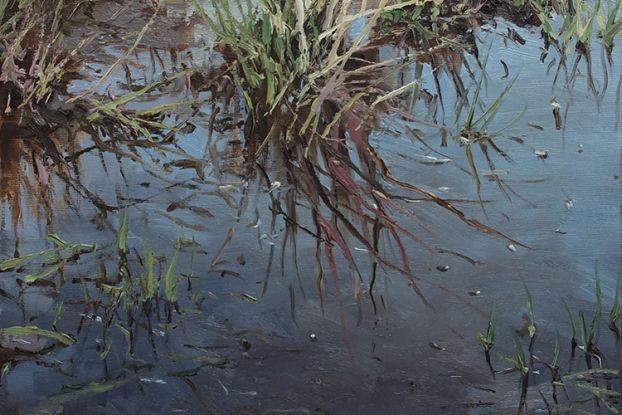 Stille Wasser, © Mathias Meinel