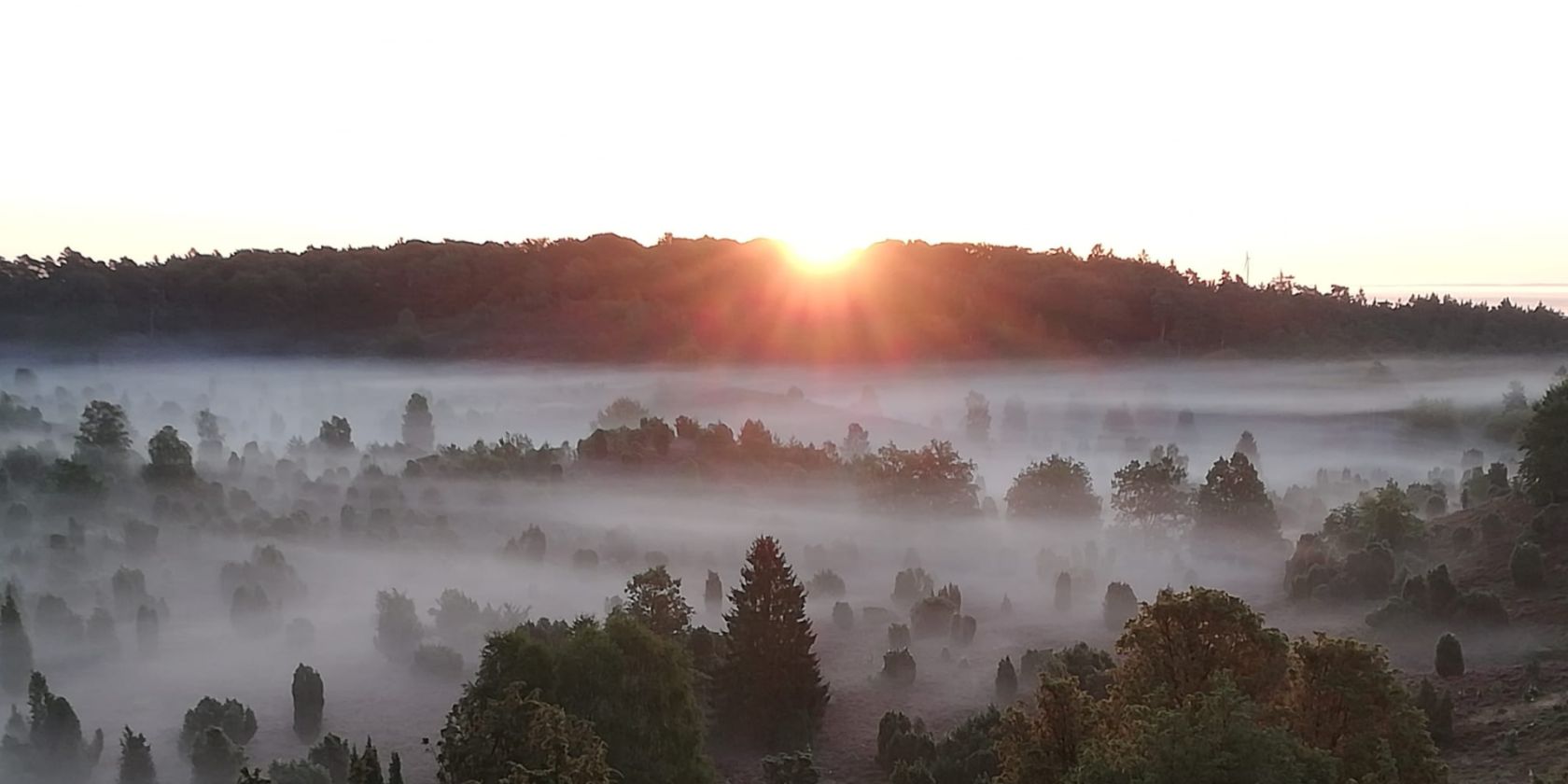 Frühwanderung zum Sonnenaufgang am Totengrund, © Bispingen Touristik/ Manfred Loos
