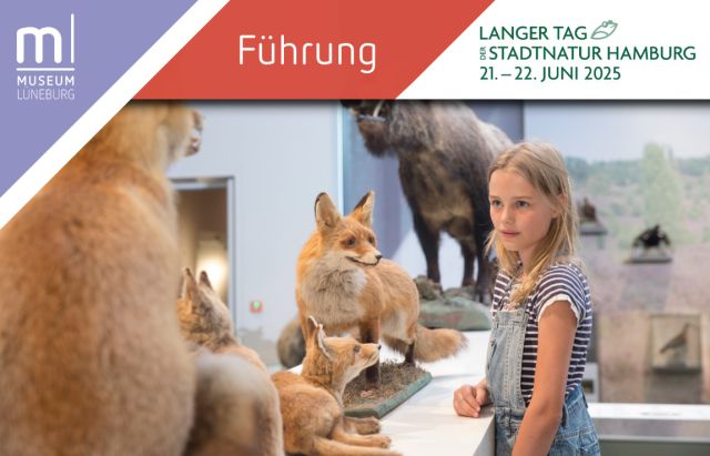 Wilde im Museum Lüneburg zum Langen Tag der Stadtnatur, © Museum Lüneburg / Andreas Tamme