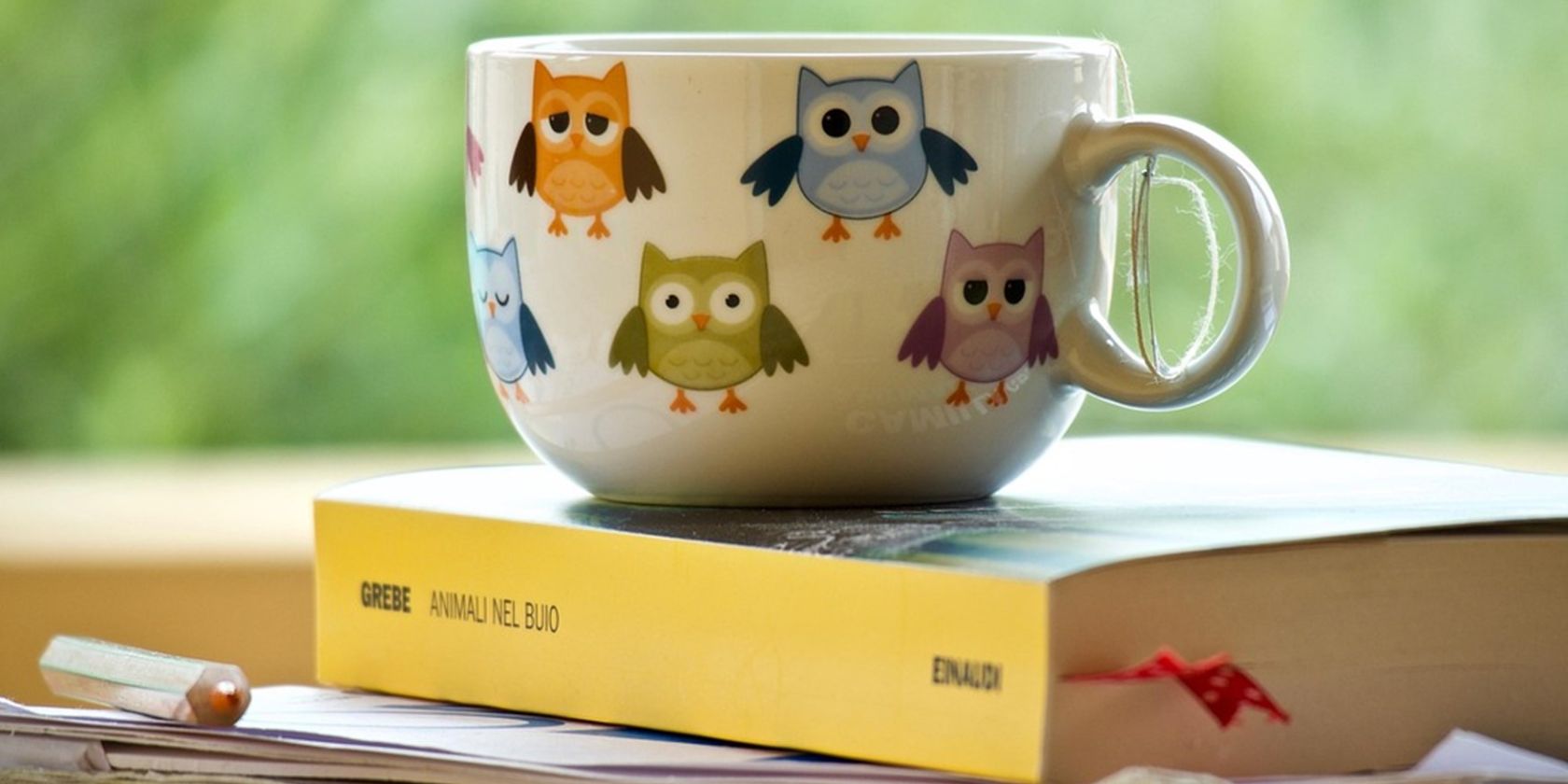 Tea Time in der Stadtb&uuml;cherei Wesselburen, &copy; Pixabay (sweetlouise)