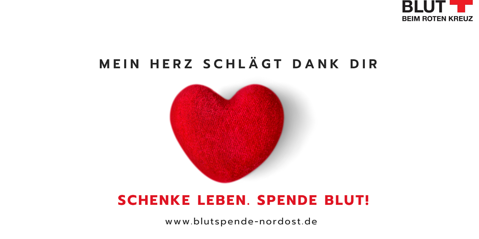 Banner_Danke-Patient, © DRK-Blutspendedienst Nord-Ost gemeinnützige GmbH