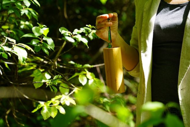 Waldbaden, Quelle: Reservix