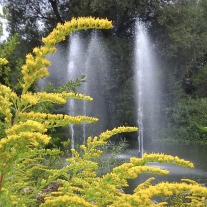Fontäne im Kurpark, © Iris Baumgarten