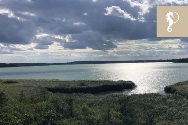 Fischwanderung, &copy; TSNT GmbH