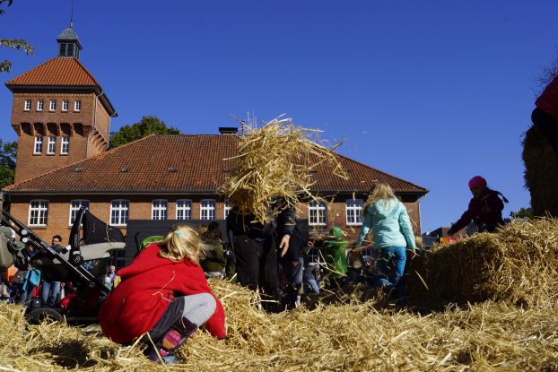 Kartoffelschmaus, © Evangelische Stiftung Alsterdorf