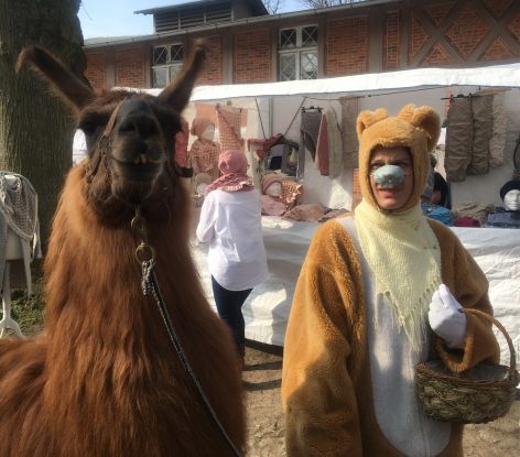 Der Osterhase verteilt S&uuml;sses an die Kinder, Ponyreiten, Kinderkarusell und die zutraulichen Alpakas., &copy; Harry Beiersdorf