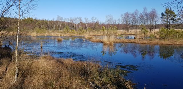 2019februarmk_2, &copy; Schneverdingen Touristik