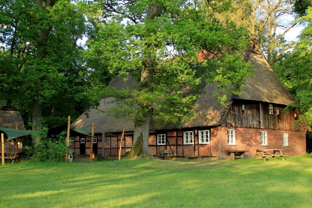walderlebnis-ehrhorn2018ab, © Schneverdingen Touristik