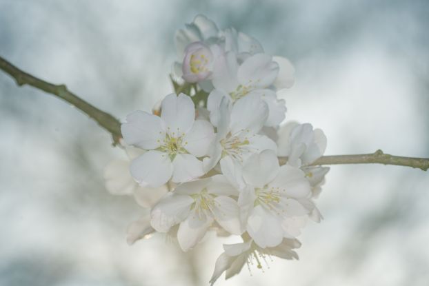 IMGP3566, &copy; Helge Masch