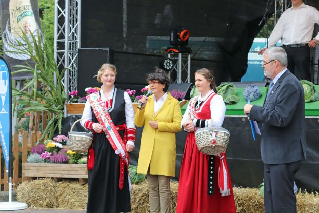 Marner Stadtfest im Rahmen der Dithmarscher Kohltage, © H. Kiehl / Dithmarschen Tourismus
