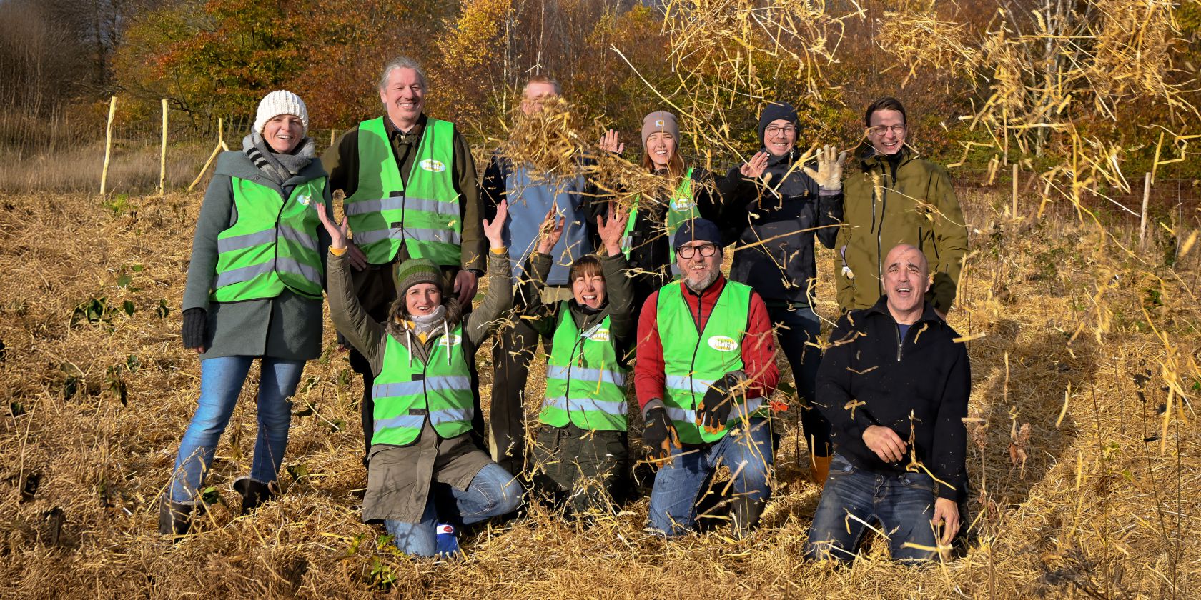Ausstellung: Hamburg, deine Miniwälder, © Citizens Forests