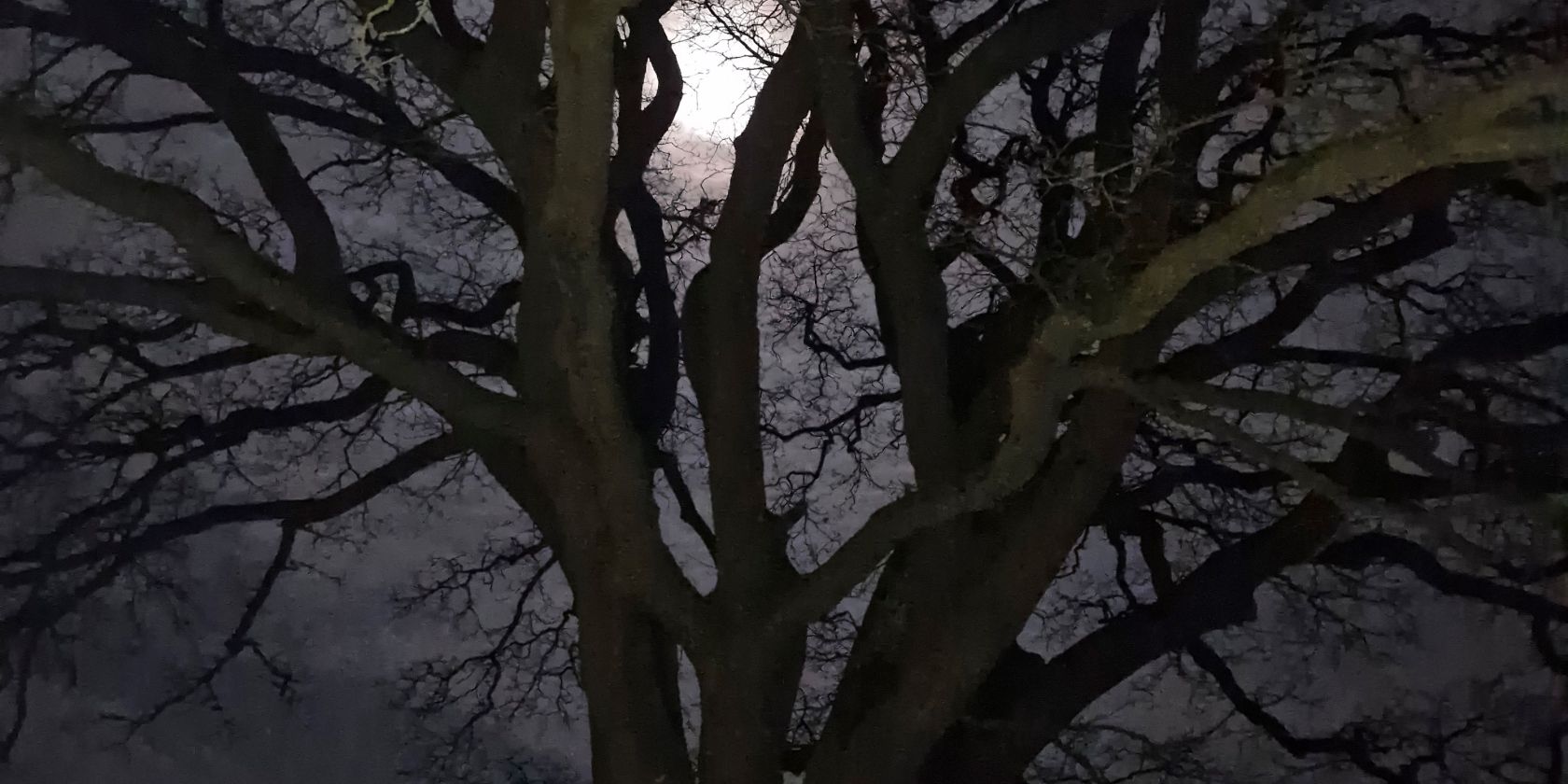 Vollmond, © gehstein