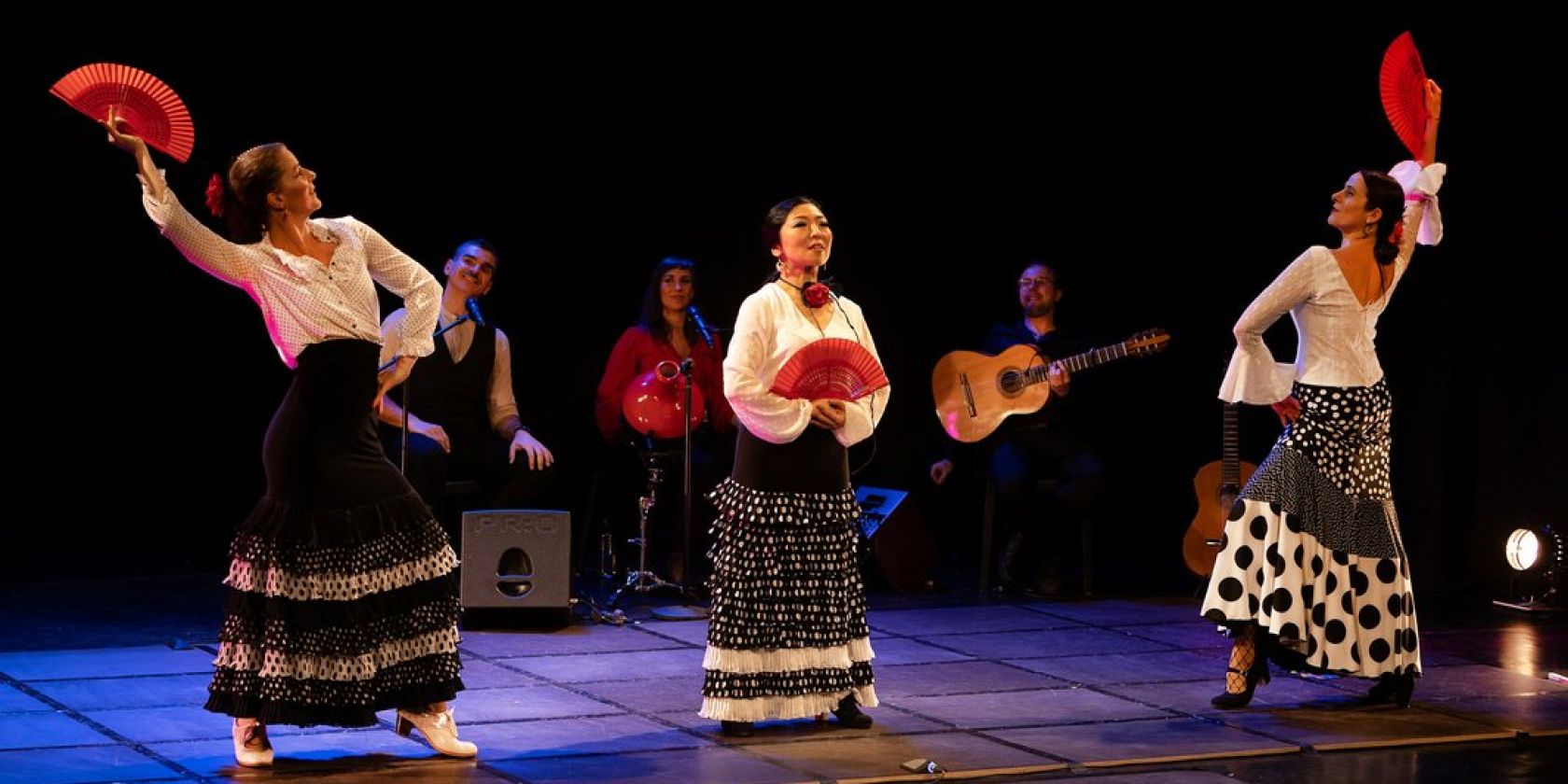 Mi Mundo Flamenco, &copy; Daniela Incoronta