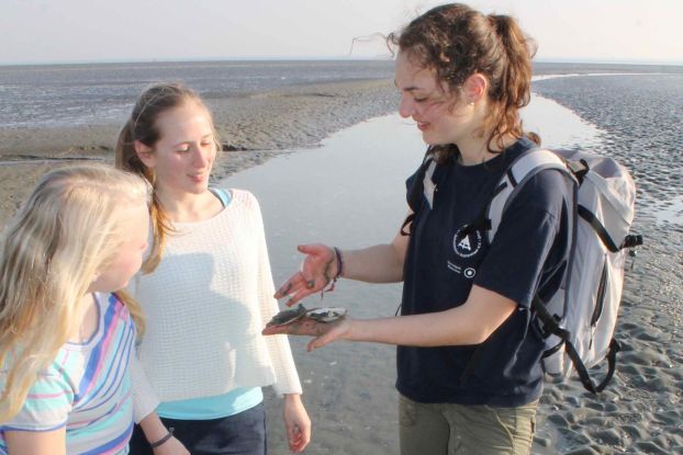 Lange Wattwanderung von B&uuml;sum bis Stinteck, &copy; Schutzstation Wattenmeer e.V.