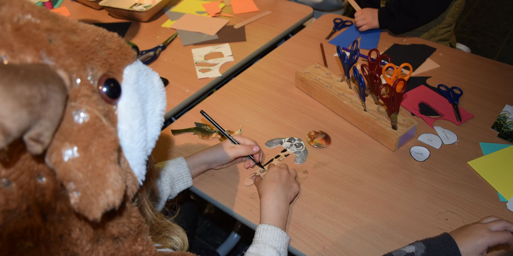 dsc_0934-1, &copy; LIB, Hollensteiner