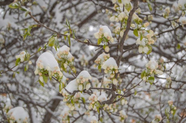 Soundtrain, &copy; unsplash