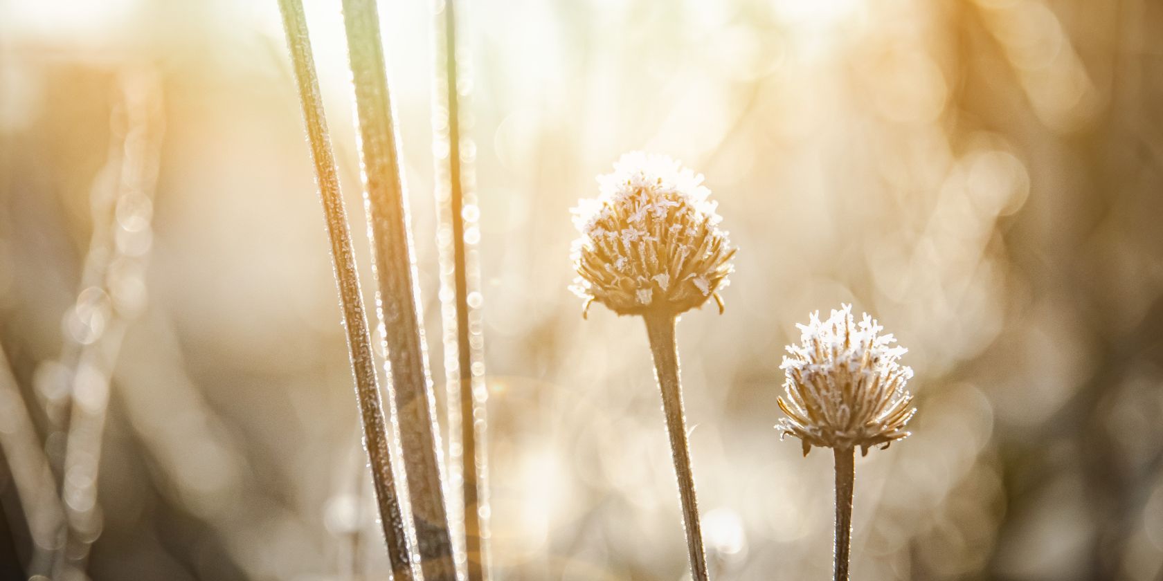 Gottesdienst, &copy; Gemeindebriefdruckerei