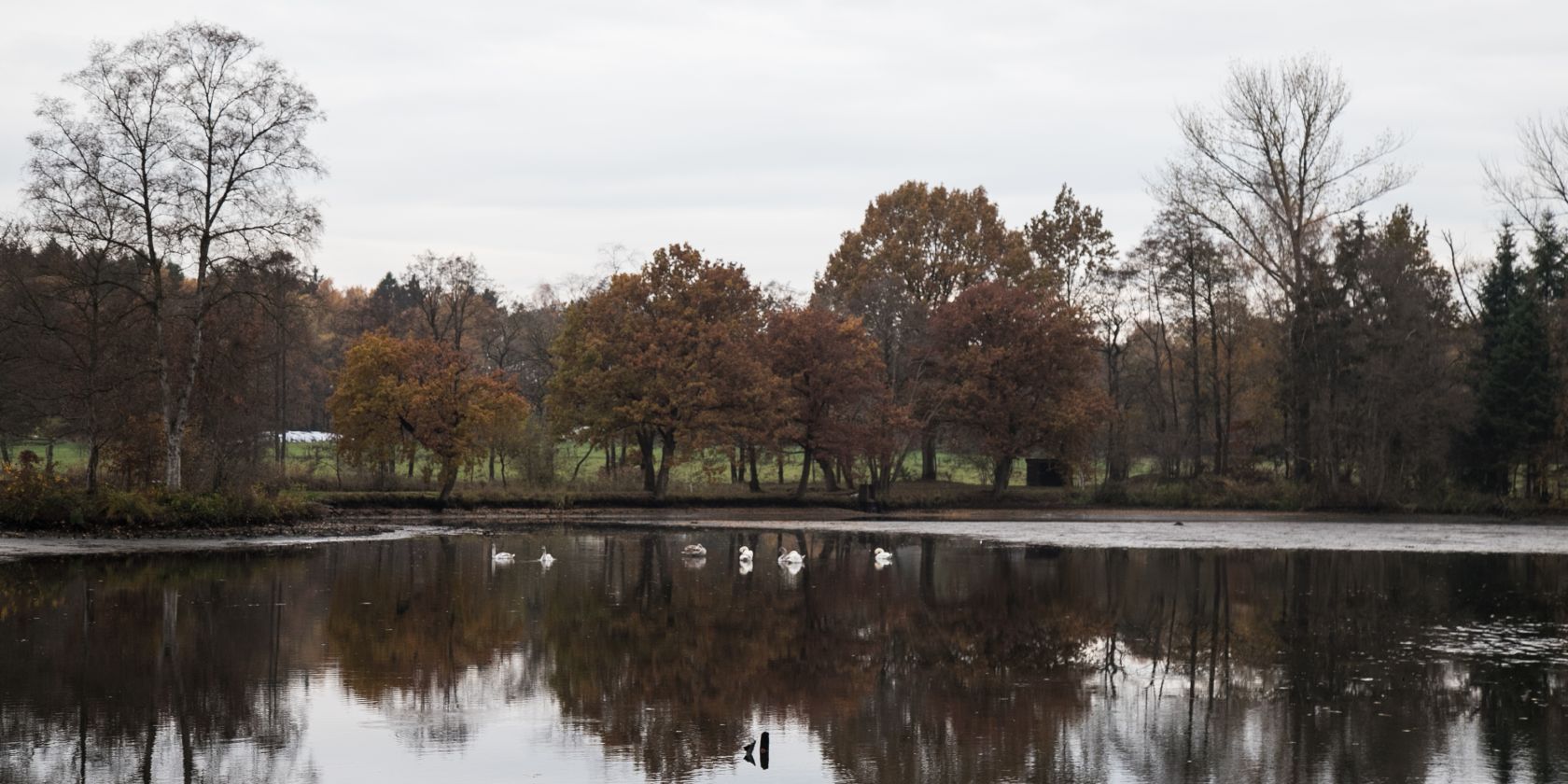 Idyllischer herbstlicher Karpfenteich, © Erkka