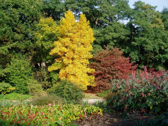 Herbst im Garten, © Helge Masch