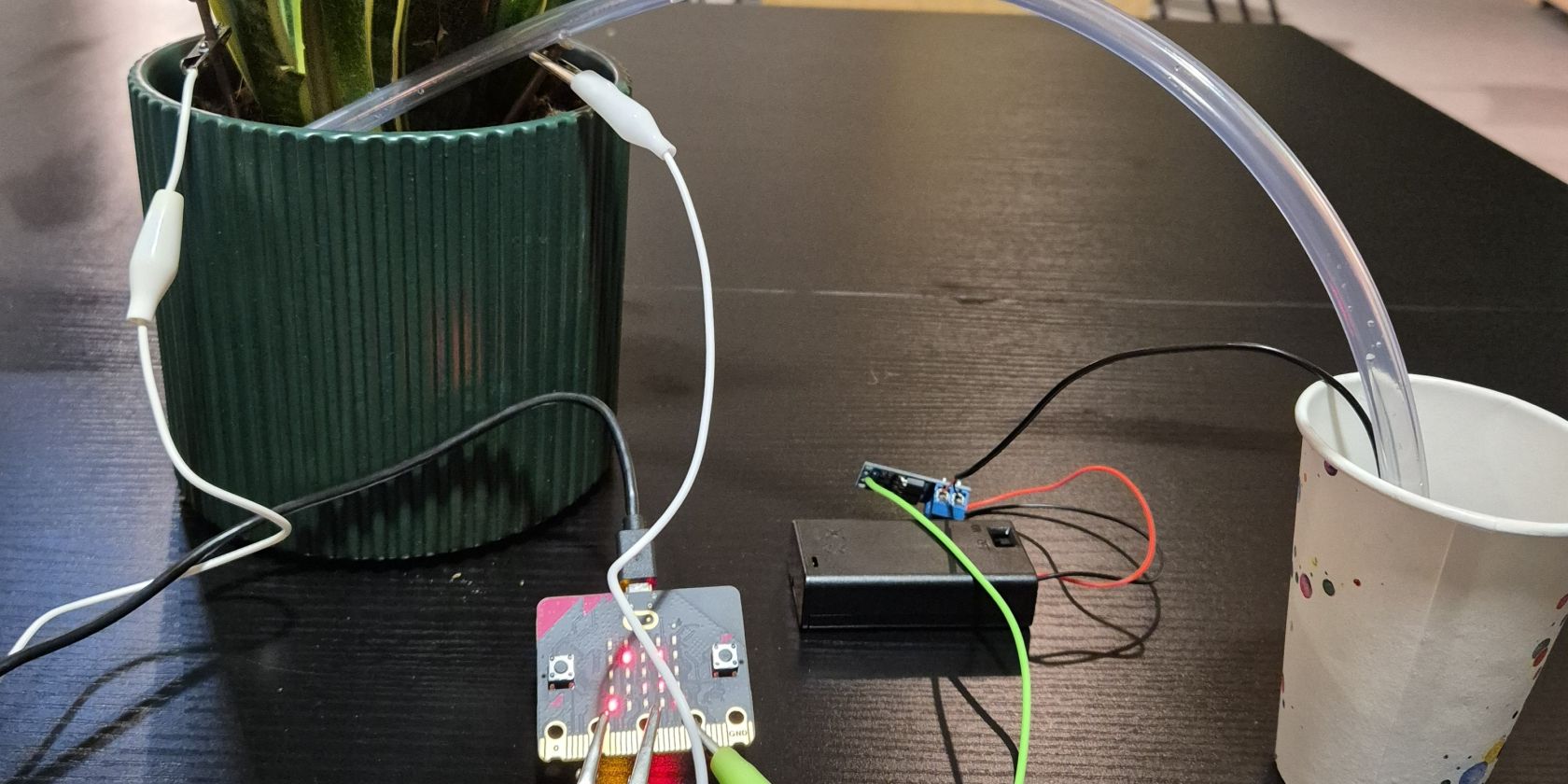 20250802-Fröhliche-Pflanzen-mit-microbit, © 105 Viertel
