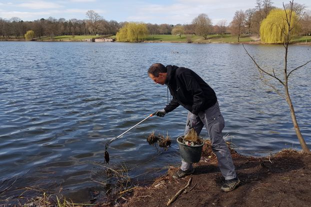 Fr&uuml;hjahrsputz mit dem Neunt&ouml;ter e. V., &copy; Neunt&ouml;ter - Verein f&uuml;r Forschung und Vielfalt e. V.