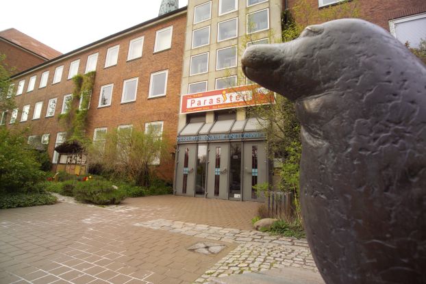 Museum für Natur und Umwelt, © Lübecker Museen/Michael Haydn