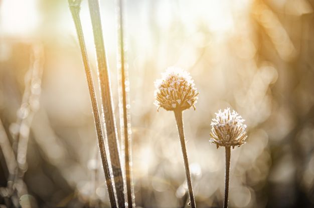 Gottesdienst, &copy; Gemeindebriefdruckerei