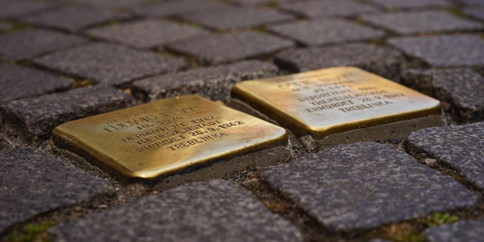 Stolpersteine, © Bild von Hans auf Pixabay