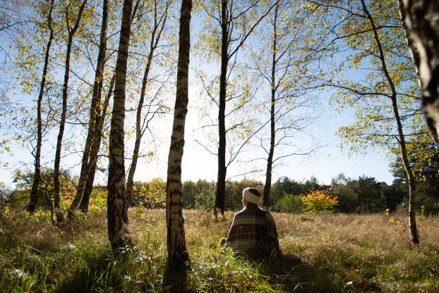 Waldbaden im Herbst im Wald bei Hamburg, &copy; Marius Nickig