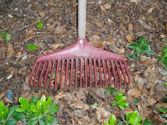 Harke - Gartenpflege  im Herbst, © Helge Masch