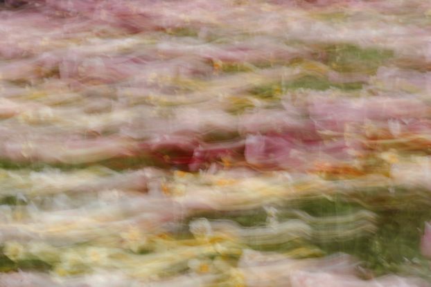 Farbwirbel, &copy; Helge Masch