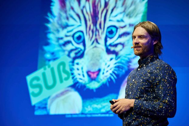 Mann der vor einer Leinwand steht auf der eine Pr&auml;sentation l&auml;uft in der ein Katzenbaby zusehen ist, &copy; Claudia H&ouml;hne