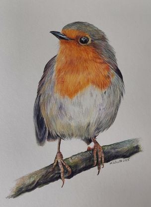 Zeichenworkshop: Rotkehlchen in Buntstift, © Mientje Schultz