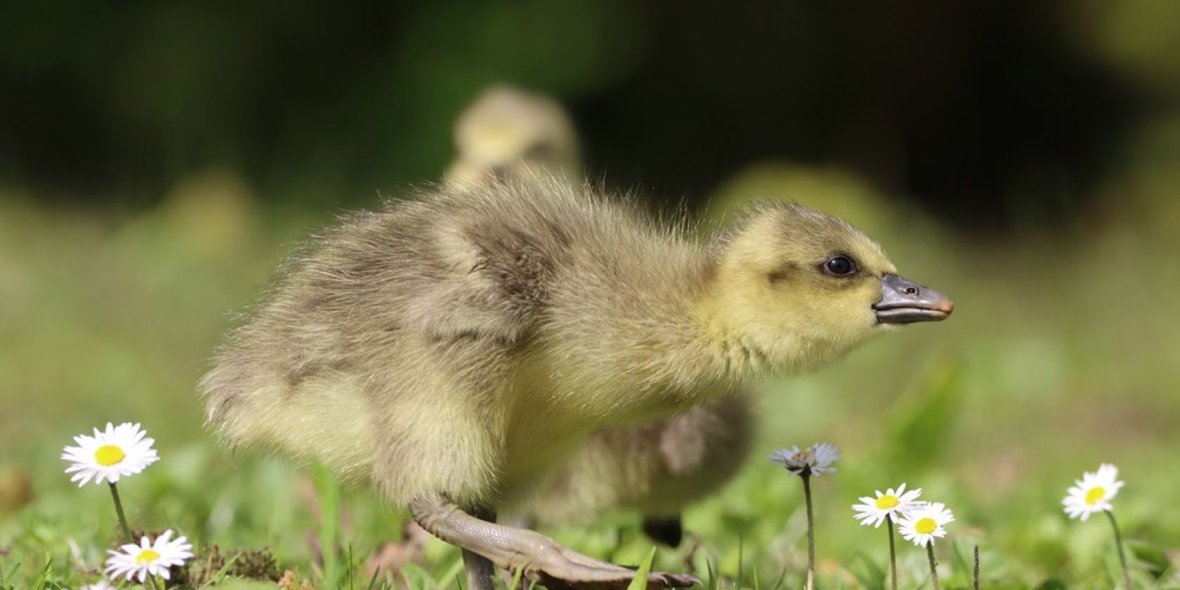 termin_21.04.26_IMG_9556, &copy; Neunt&ouml;ter - Verein f&uuml;r Forschung und Vielfalt e. V.