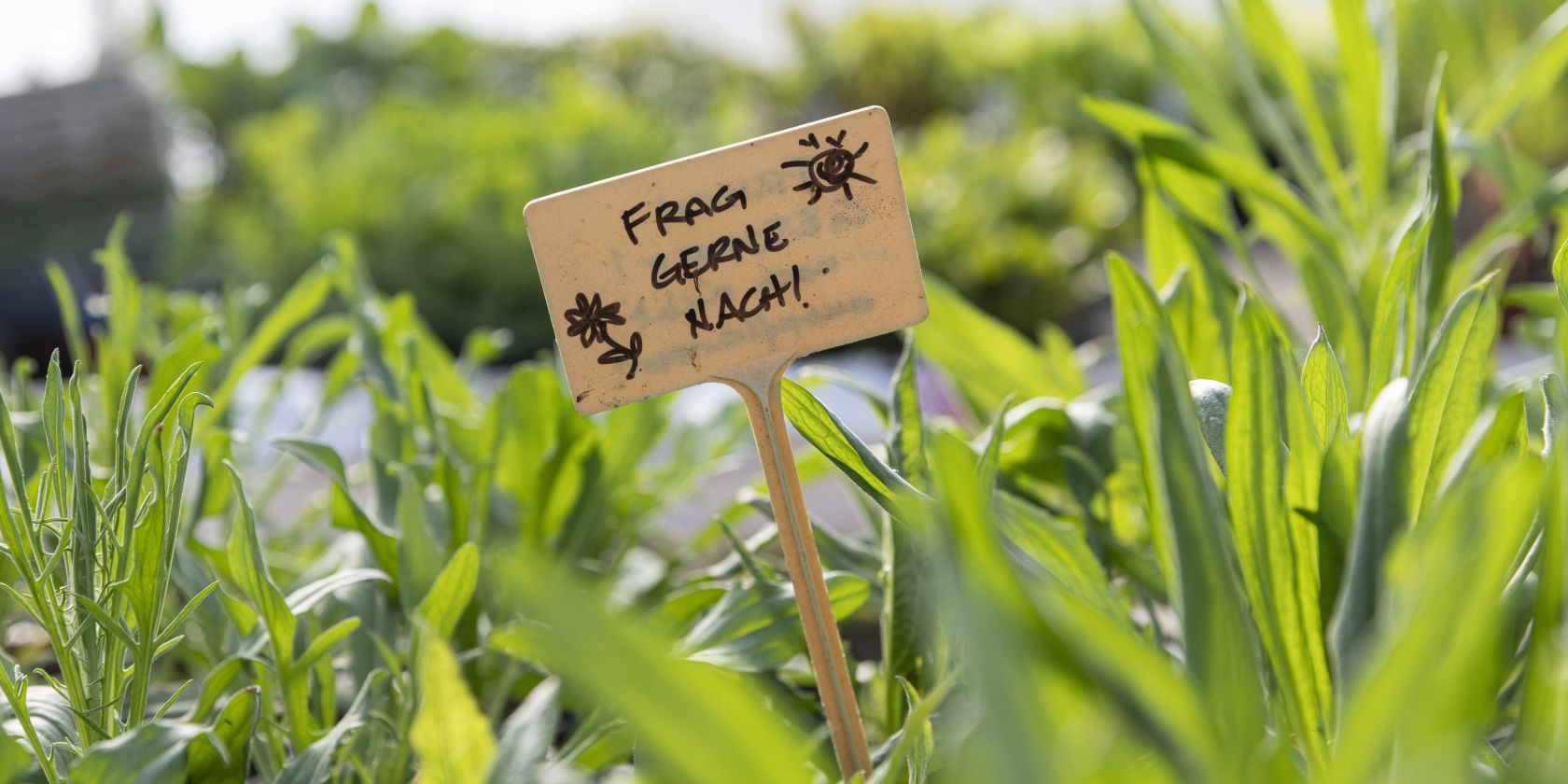 Pflanzen-Markt mit Beratung, &copy; Hof an den Teichen, Julia Knop