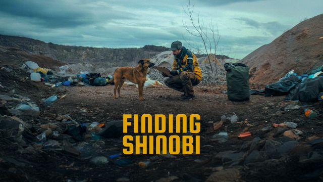 Finding-Shinobi1, © Idle Films