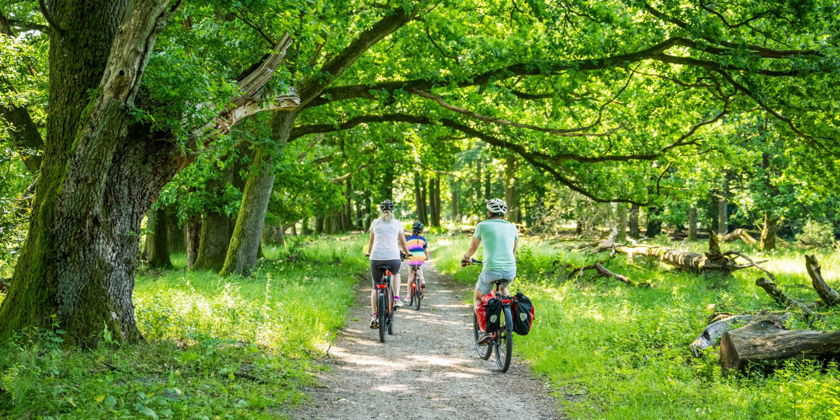 Naturpark-Erlebniswochen: Energie-Hunger-Fahrradtour, &copy; Bispingen Touristik e.V./Markus Tiemann