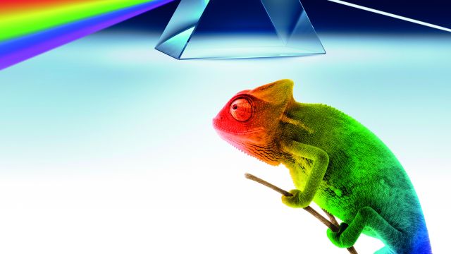 Grafik: Carl Bosch Museum Heidelberg, &copy; Carl Bosch Museum Heidelberg