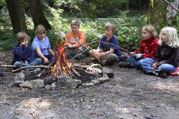 Stadtf&uuml;chse, &copy; Wildnisschule Wildniswissen