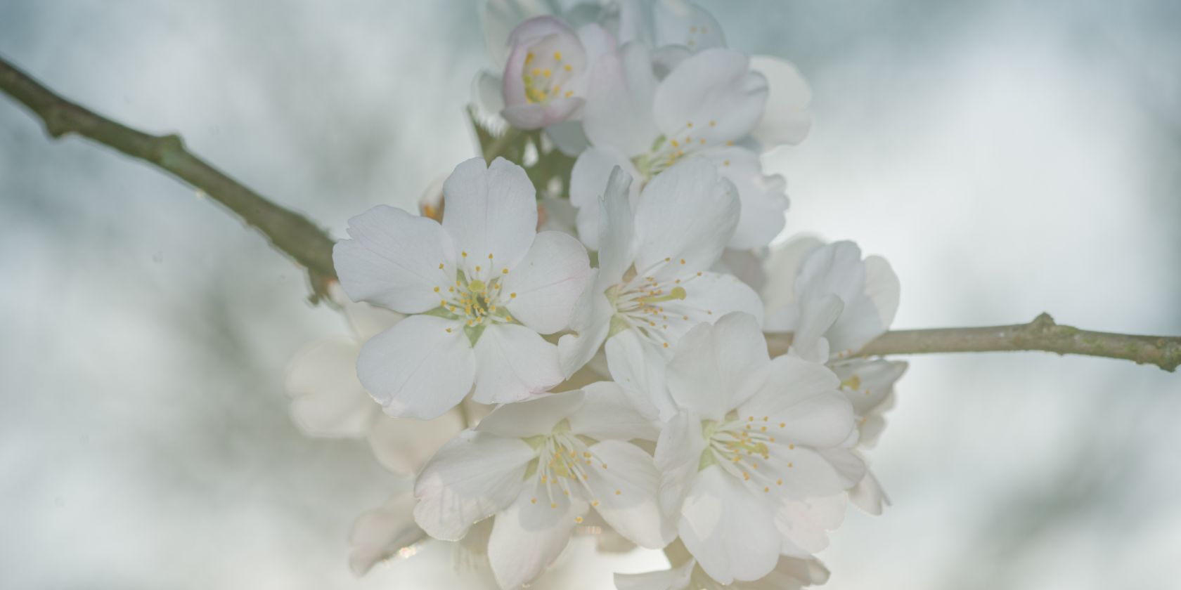 IMGP3566, &copy; Helge Masch