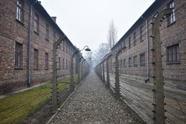 Auschwitz Konzentrationslager, © Bild von Adam Hill auf Pixabay