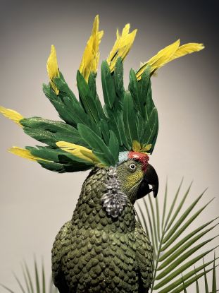 Der gr&uuml;ne Kakadu, &copy; Die 2te Heimat / Gisiger & L&ouml;her GmbH