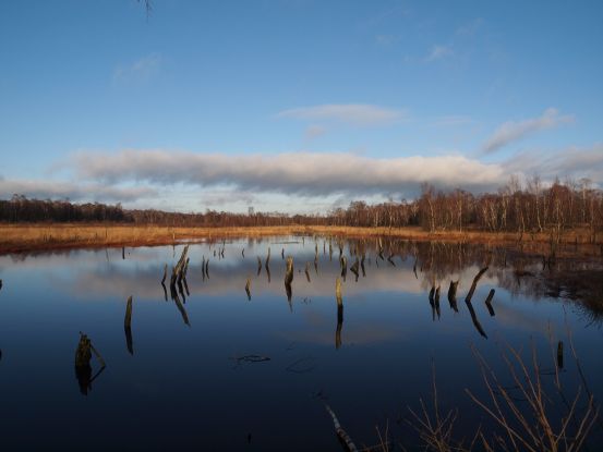 Foto_Wittmoor_(c)_Axel_Jahn-min, © Axel Jahn