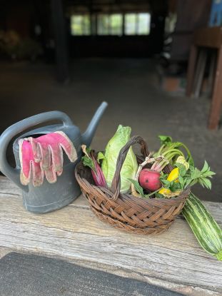 Biogem&uuml;se-Seminar, &copy; Bergedorfer Museumslandschaft