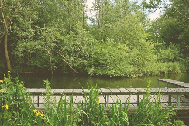Kurparkf&uuml;hrung, &copy; Jessen Fotografie
