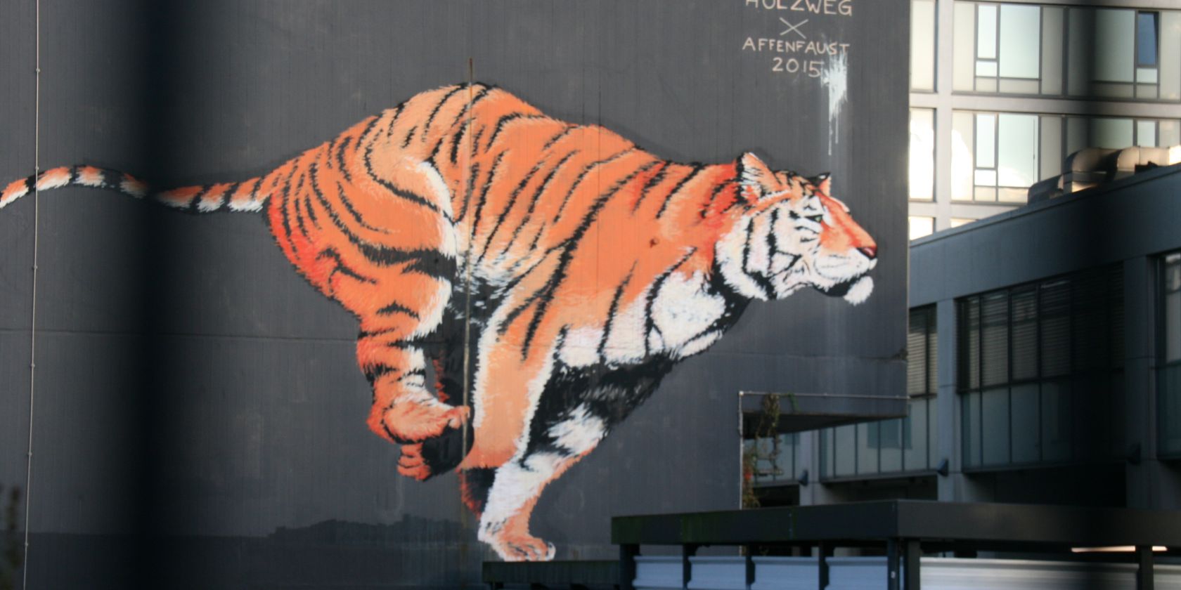 Tiger, &copy; Martyn Leder