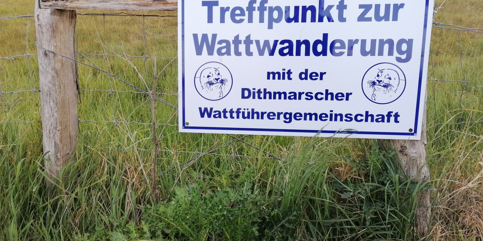 Wattf&uuml;hrung "Watt & Co.", &copy; K. Hagge