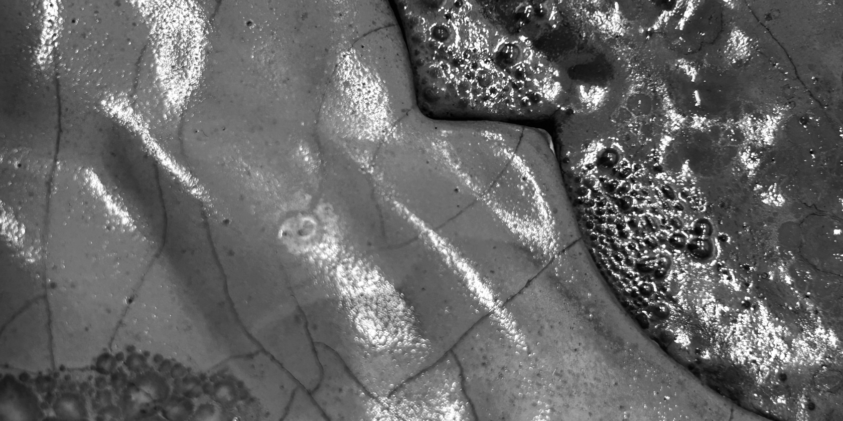 parliament-of-streams-lands-1, &copy; Carlos Monle&oacute;n