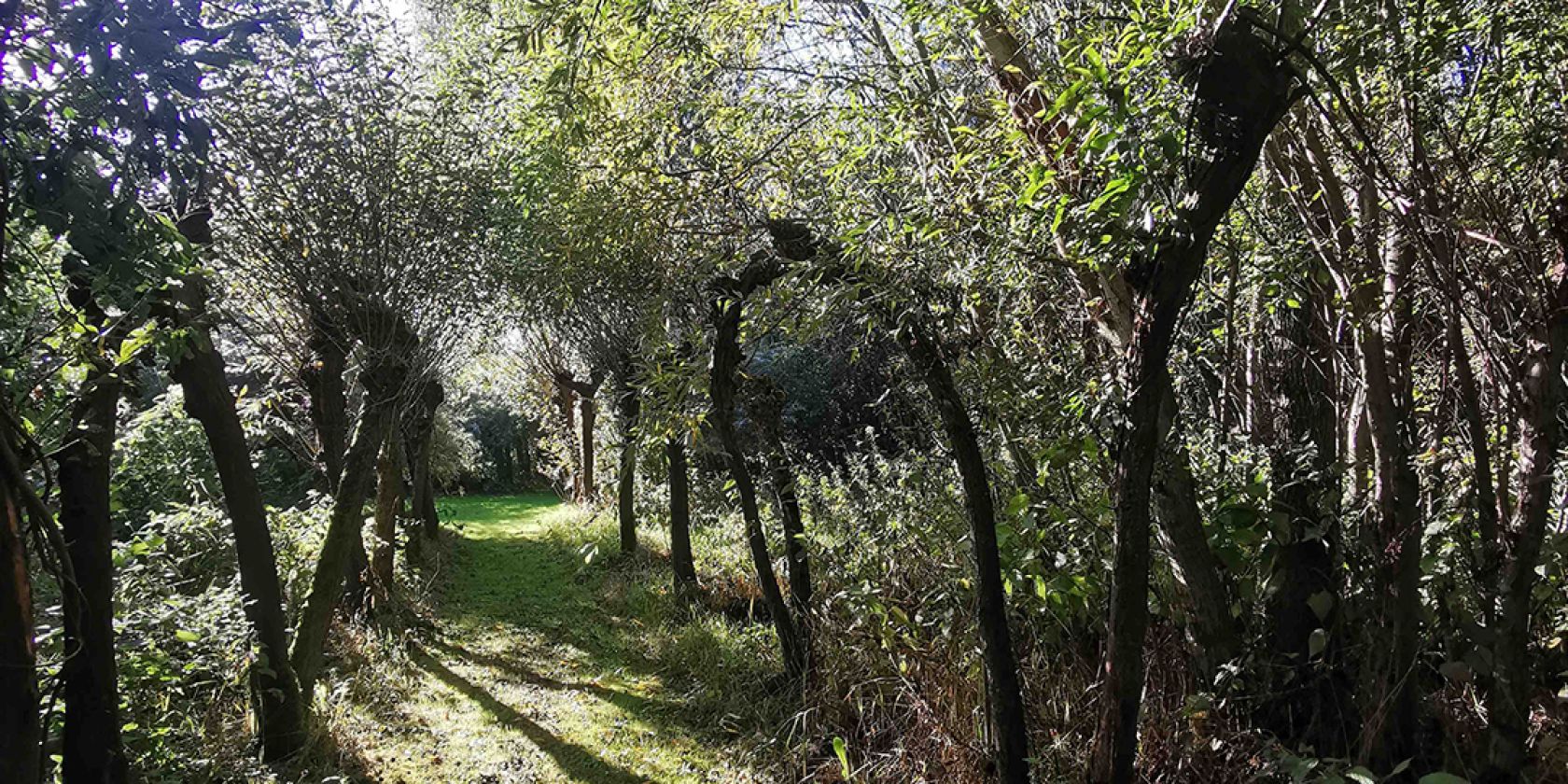 Vortrag: Das Halten von Bienen in Strohbeuten im Weidenzentrum, © Weidenzentrum Wurster Nordseeküste e. V.